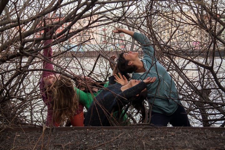 Natural Growing - Gruppencoaching